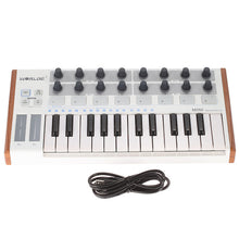 Load image into Gallery viewer, Hot WORLDE Panda MIDI Keyboard MIDI controller and Drum Pad MINI 25-Key

