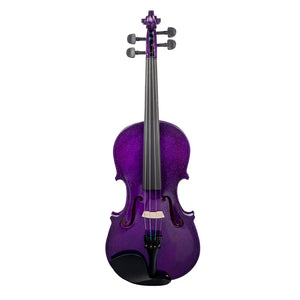 4/4 Size Acoustic Violin Fiddle Kit with Case Bow Rosin for Beginners Students Gift
